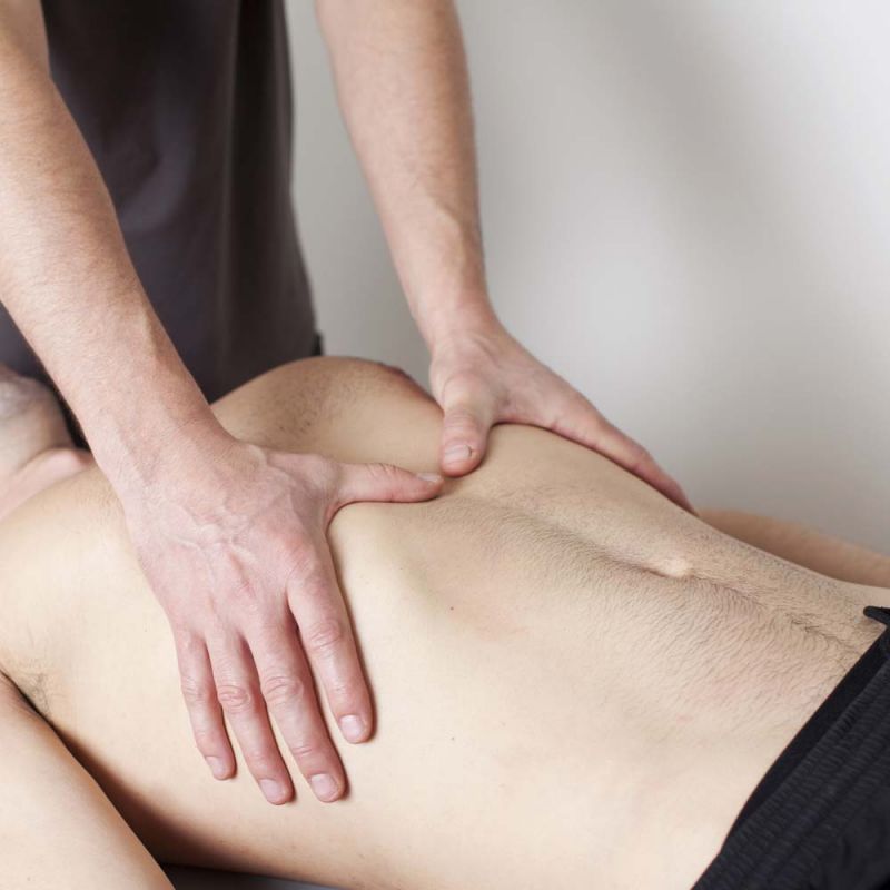 健康・医学 Fortgeschrittene viszerale Osteopathie Fortgeschrittene viszerale Osteopathie : Barral, Jean-Pierre